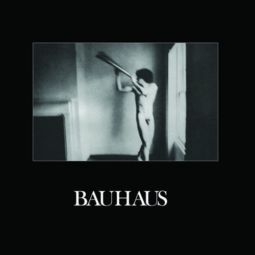 Bauhaus: In The Flat Field