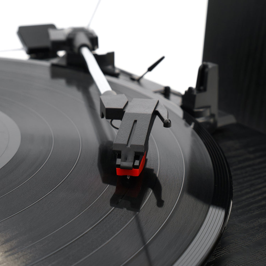 Montauk Turntable System