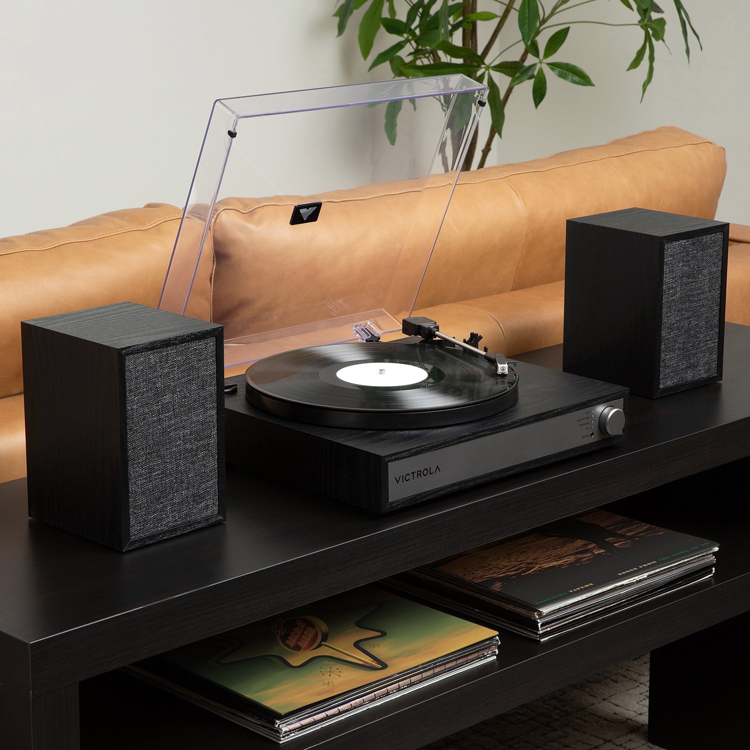Harmony Turntable System